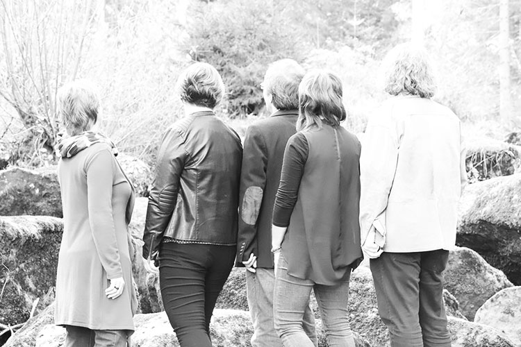 waldsoft Team 7631