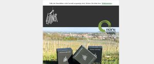 Newsletter Einrichtung und Abwicklung Newsletter Einrichtung und Abwicklung