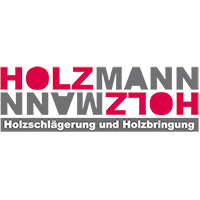 Holzmann & Holzmann
