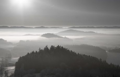 Nebel (c) Martin Lugmayr