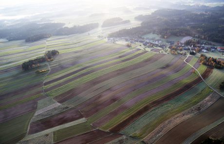 Streifenfluren nahe Zwettl (c) waldsoft