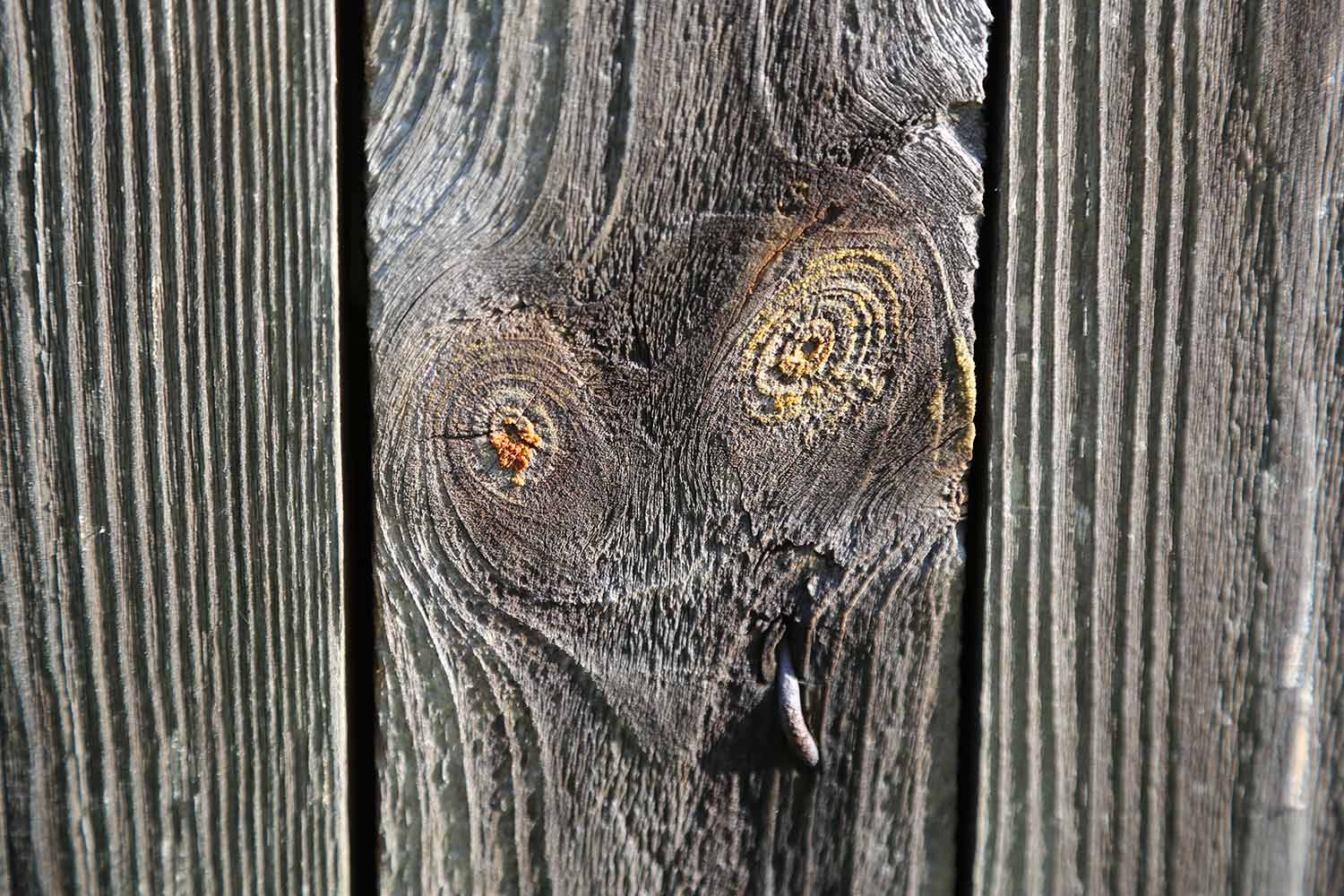 Holzblick_4070